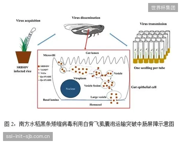 Vicon系统采集的不仅是击球转速，更是球员生物力学指纹，这些核心数据的隐私边界和商业所有权如何界定？